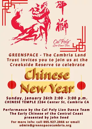 Image: Chinese New Year Celebration