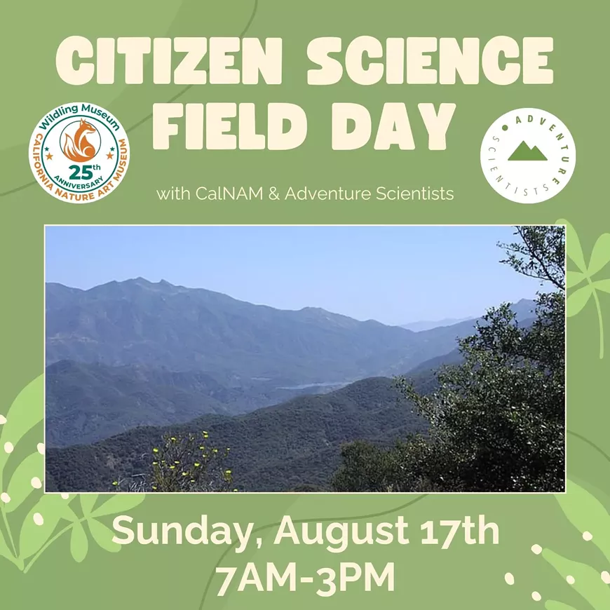 canva_square-lospadrescitizenscience.webp