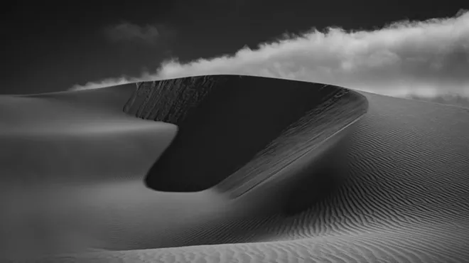 Image: Dunes: Visions of Sand, Light, and Shadow