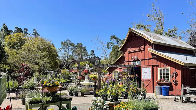 Image: Earth Day Festival at Cambria Nursery