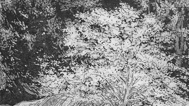 Image: Etching Print Demo with David Butz