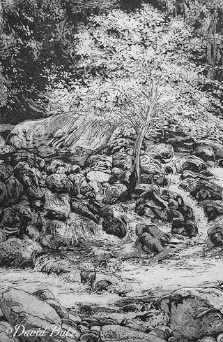 Image: Etching Print Demo with David Butz
