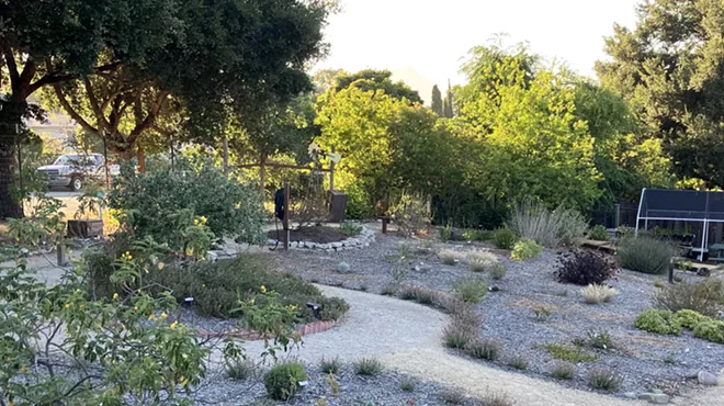 Image: Evening in the Garden