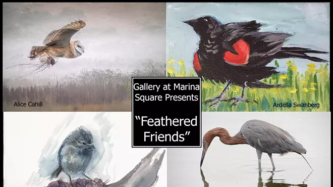 Image: Feathered Friends