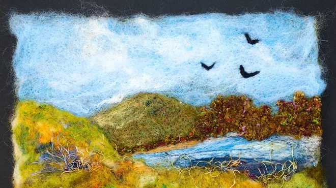 Image: Fiber and Textiles by Debbie Gedayloo