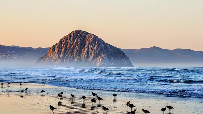 Image: Fine Art Photography by Brett Harvey