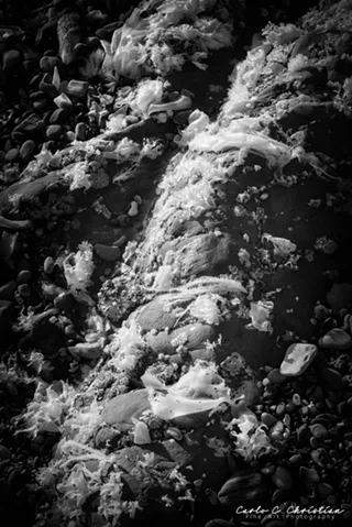 Image: Fine Art Photography by Carlo Christian