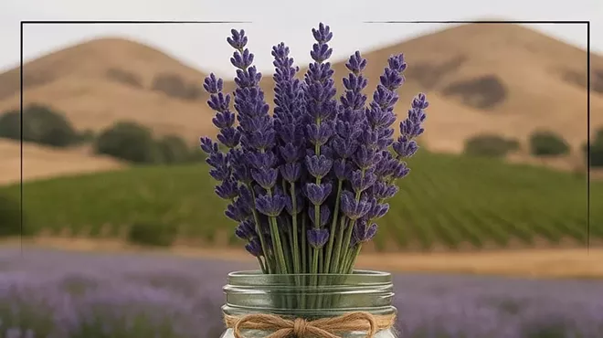 Image: Flower Pressing and Lavender U-Pick at Hambly Farms