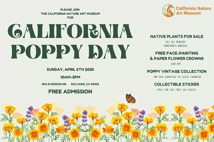 canva-ca_poppy_day_2025.webp