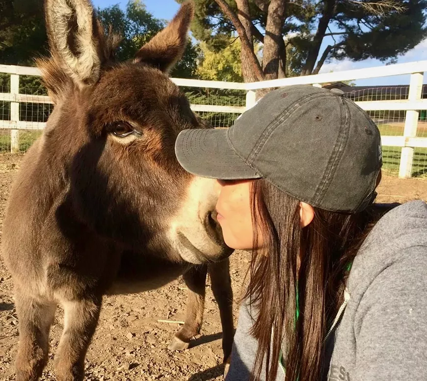 Meet the rescued animals of Greener Pastures up close and hear their stories of triumph during self-guided tours.