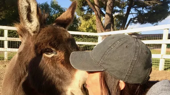 Image: Greener Pastures Farm Sanctuary: Self-Guided Tour