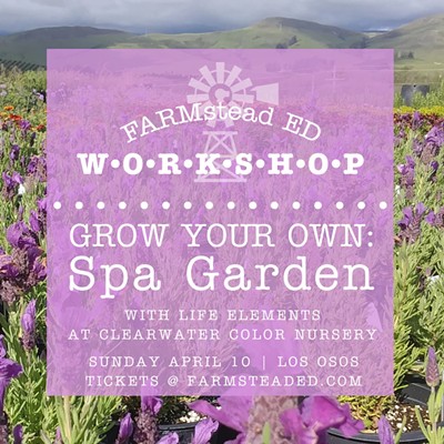 Grow Your Own: Spa and Garden