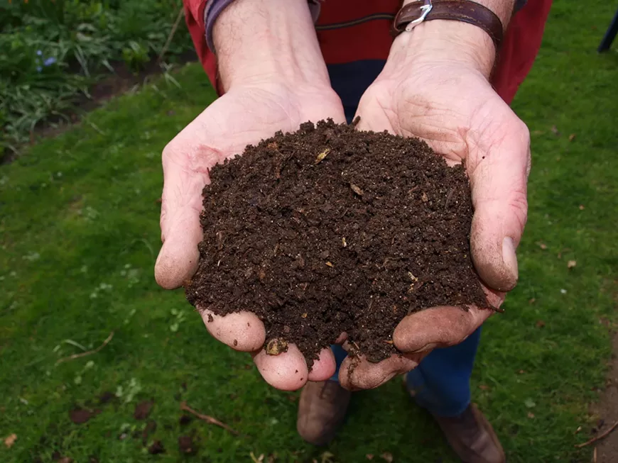 Fresh Compost