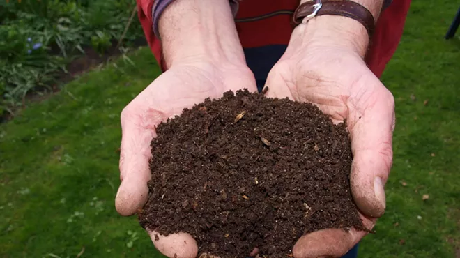 Image: How to Deal with Household Waste and Improve Your Garden