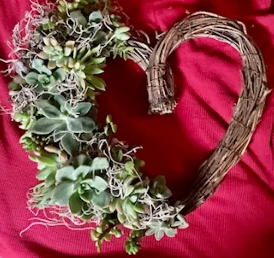 Create a lovely succulent wreath