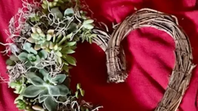 Image: In Love with Succulents