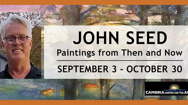 John Seed: Paintings from Then and Now