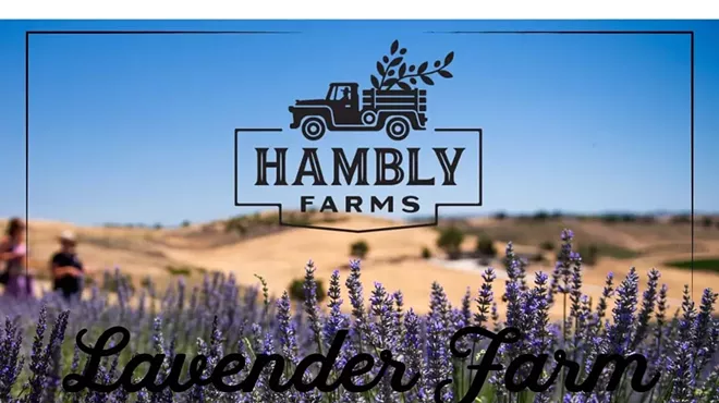 Image: Know Your Soil Workshop at Hambly Farms