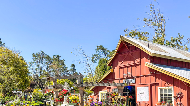 Image: Labor Day Sale at Cambria Nursery
