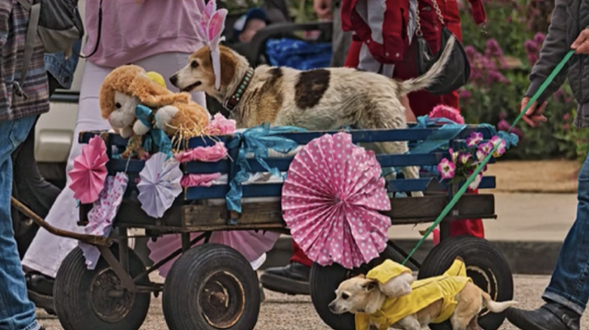 Lioness Club of Cayucos: Cayucos Easter Dog Parade