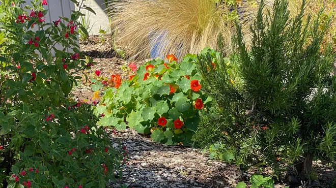 Image: LOVGC Zoom Program and Meeting: Waterwise Gardening