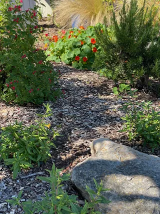 Image: LOVGC Zoom Program and Meeting: Waterwise Gardening