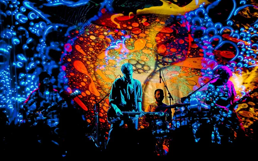lsd_live1.webp
