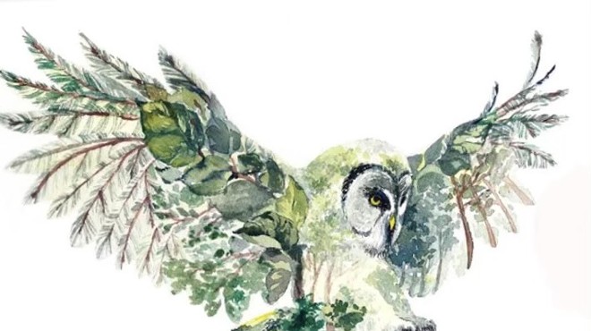Majestic Winter Owl Sip 'N Paint