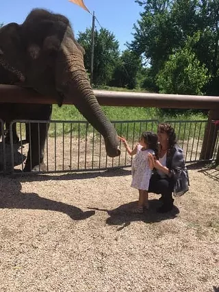 Image: Meet An Amazing Animal Each Week (Live via Zoom)