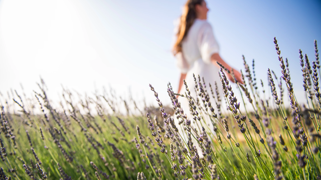 Image: Mother's Day Lavender Farm Experience and Charcuterie Board Workshop