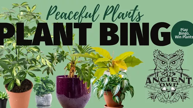 Image: Mother&rsquo;s Day Plant Bingo