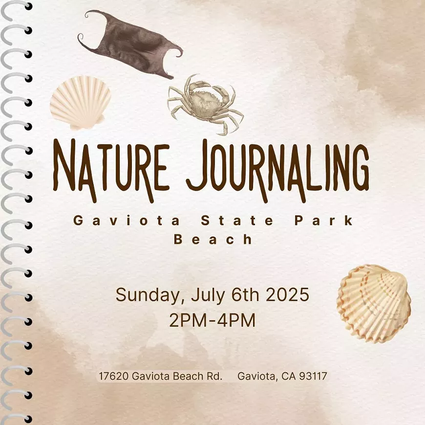 canva-naturejournaling-gaviota.webp