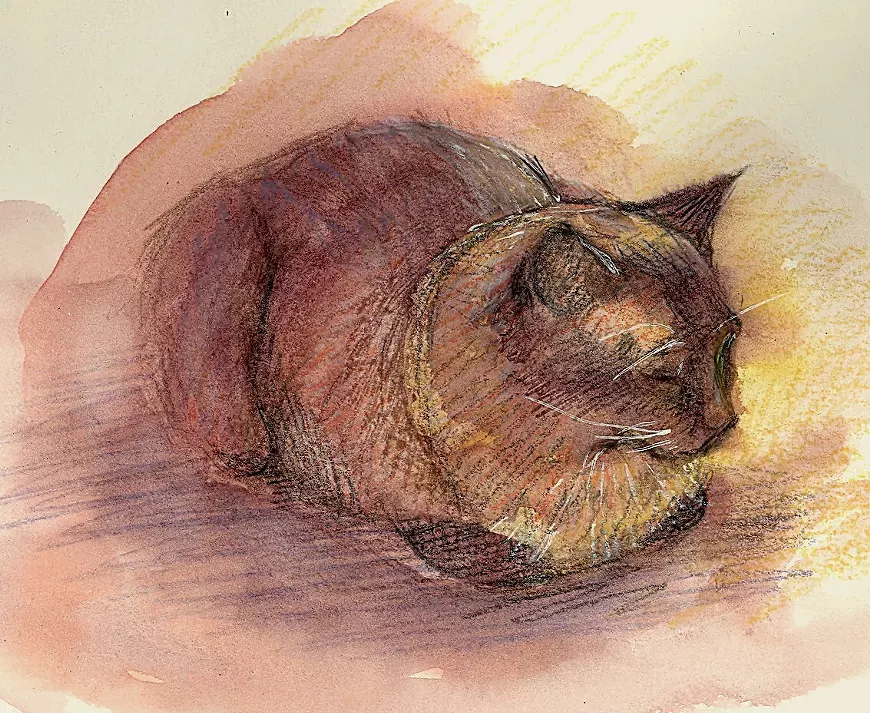 Fine Art Drawings and Watercolors by Virginia Mack