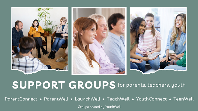 Image: Parent Allies