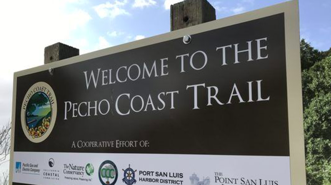 Image: Pecho Coast Trail Plant Life