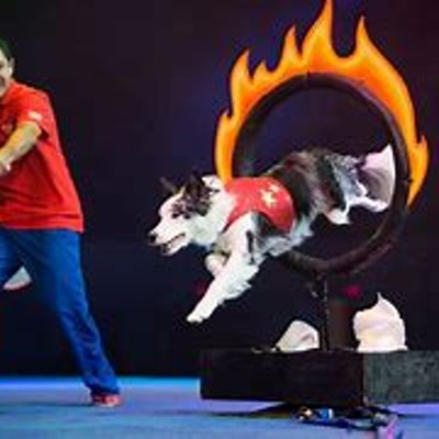 Perondi's Stunt Dog Experience