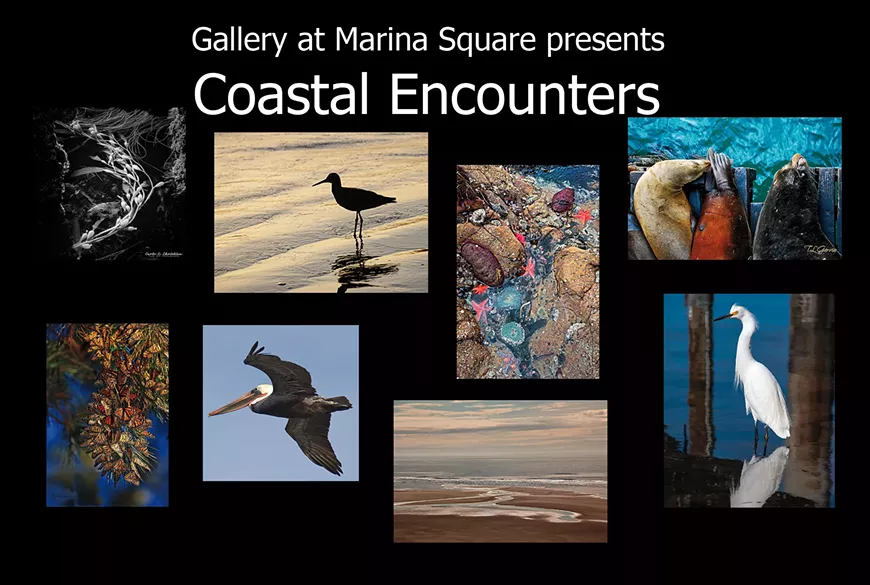 coastalencounters01-copy.webp