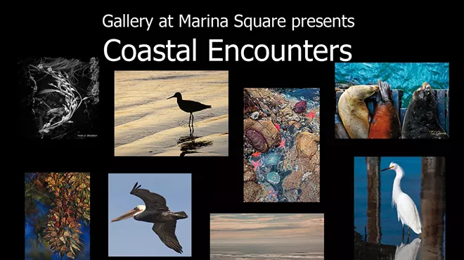 Image: Photography Group Show: Coastal Encounters