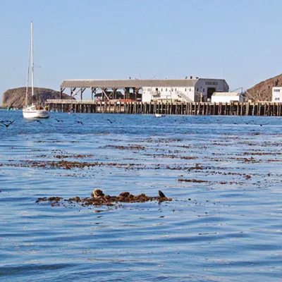 Image: Port San Luis Harbor Commission to discuss transition to district elections