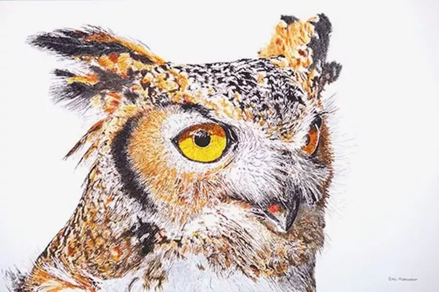 Great Horned Owl