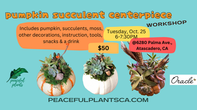 Pumpkin Succulent Centerpiece Workshop