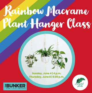 Image: Rainbow Macrame Plant Hanger Class