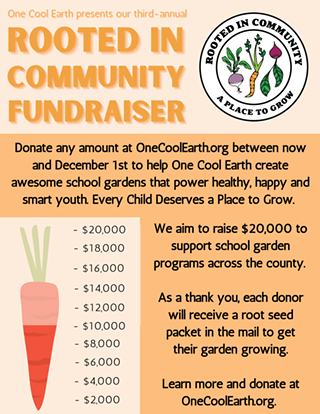 Image: Rooted in Community