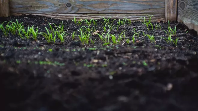 Image: Sacred Ground: What we can do for Healthy Soils and a Healthy Planet
