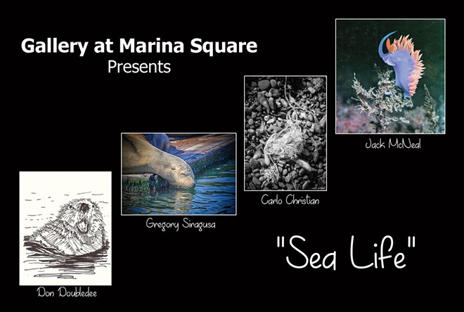 Gallery at Marina Square presents SEA LIFE