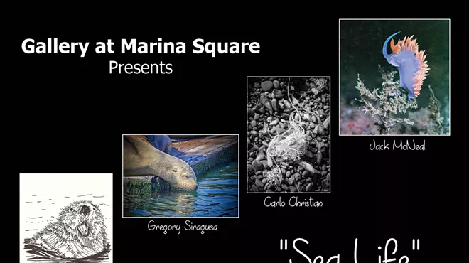 Image: SEA LIFE: A Photography and Ink Drawings Group Show