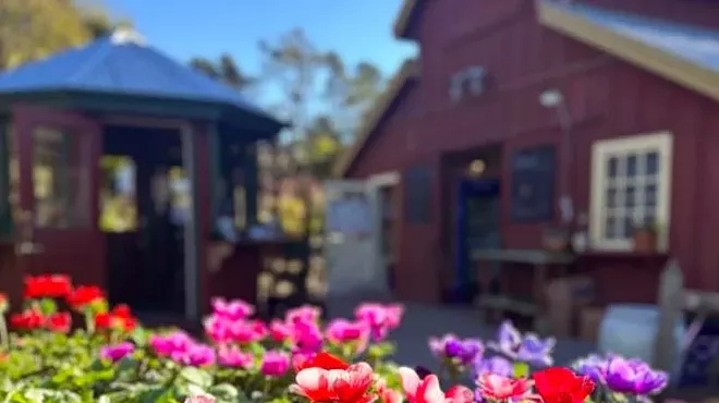 Image: Spring Bloom Weekend