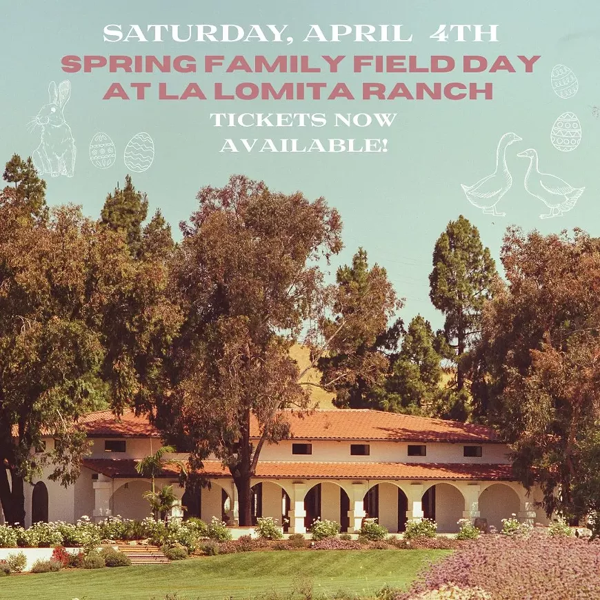 2026_spring_social_graphics__1_.webp