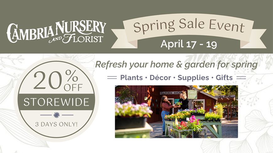 cnf_spring_sale_fb_event_cover__26__1_.png