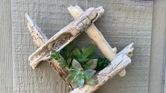 Image: Succulent and Driftwood Planters